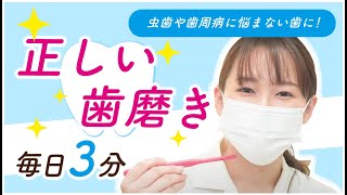 歯科医師が本気で教える！【正しい歯磨きの仕方】