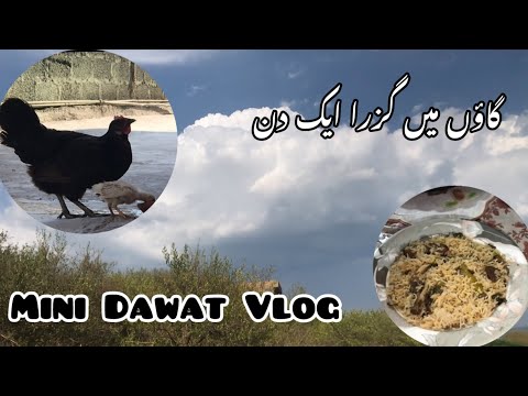 Mini Dawat Vlog || Village Dawat Vlog 🌳 || My First Mini Vlog