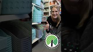 DOLLAR TREE organization hacks! 🤯 2024 #dollartree