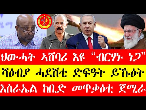 ህውሓት ኣሸባሪ እዩ "ብርሃኑ ነጋ"፣ሻዕብያ ሓድሽቲ ድፍዓት ይኹዕት፣እስራኤል ከቢድ መጥቃዕቲ ጀሚራ April 19 #tigray #eritrea #tigrinya