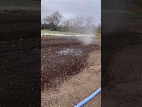 露地野菜　水やりするだけの動画　ほうれん草