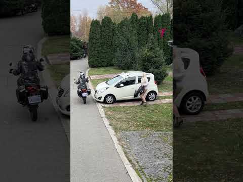 Police Officer Helps a Woman in a Wardrobe Malfunction #shorts