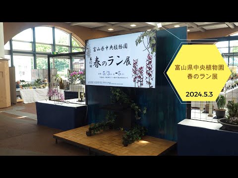 2024.5.3　富山県中央植物園　春のラン展