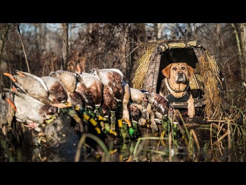 Arkansas Flooded Timber Duck Hunting - Fowled Reality