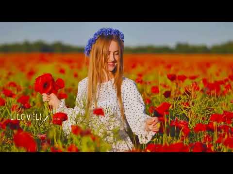 Fabulous Colorful Nature. Red Poppy. The Morning Light - Best Ambient & Instrumental Music.