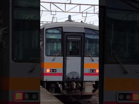 大糸線の列車 #キハ120形 #大糸線 #鉄道 #たびその #宇宙巫女現る #糸魚川駅 #新潟県 #ローカル線 #糸魚川市 #気動車