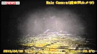 Inside Fukushima Nuclear Reactor