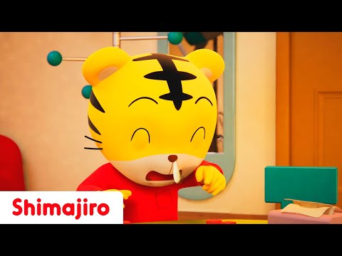 NEW SONG!🤧🎶Sneeze,Wipe, & Feel Better!🤗Healthy Habits with Shimajiro & Hanna🐯Fun Songs for Toddlers🎵