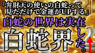 金運が超上昇する白蛇の世界を覗いてください。これを見て嬉しい声が沢山届きました。あなたの金脈を解放させます。