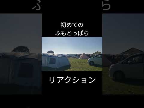 初めてふもとっぱらに来た人のリアクション  #shorts  #ふもとっぱら　#camp #camping