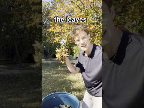 STOP Throwing away Fall Leaves!🍂DO THIS Instead!