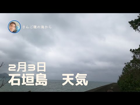 【石垣島天気】2月3日11時ごろ。15秒でわかる今日の石垣島の様子。