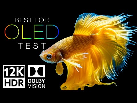 The Craziest OLED Test in 12K HDR 60FPS - Dolby Vision