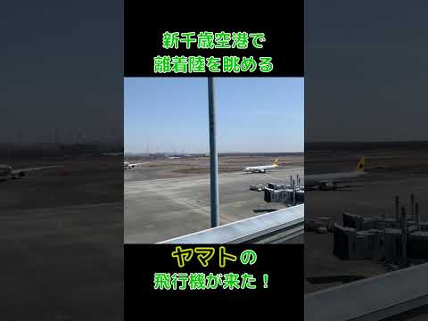 【新千歳空港】ヤマトの貨物機が来た！　#新千歳空港 #飛行機 #ヤマト運輸