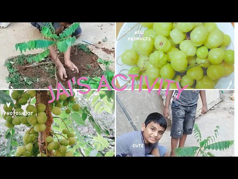 సంవత్సరంలో#gardening#kidsactivity