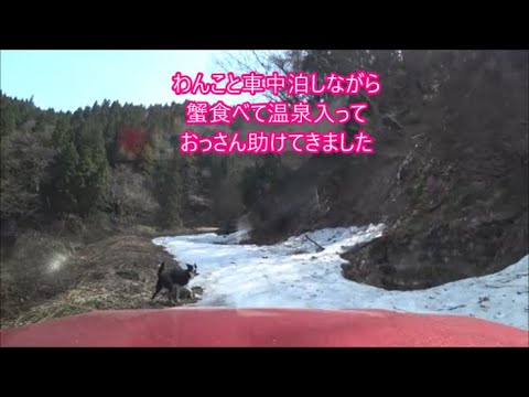 わんこと車中泊しながら蟹食べる北陸の旅　ジャダーで苦しむ中年を救え！