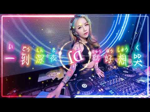 一生太多苦dj Dj Remix 中文舞曲