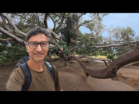 Travel Tunisia 🇹🇳 Belvedere Park, Tunis Zoo and Louage Ride to Sousse