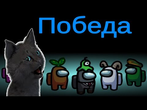 СУПЕР КОТ И СОБСТВЕННАЯ КАРТА В АМОНГ АС 🐱 ЧУДЕСА В КОСМОС 🐱 Among Us 🐱 САМЫЕ БЫСТРЫЕ ПОБЕДЫ #301