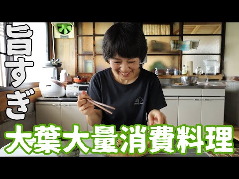 【簡単&美味】しその葉栽培＆大量消費でジェノベーゼ！