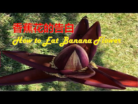 香蕉花怎么吃 How to Eat Banana Flower