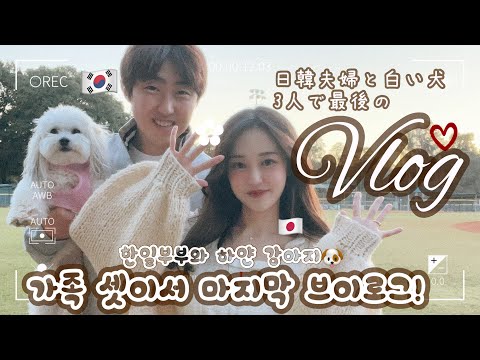 [日韓夫婦/한일부부] 3人最後の小さい幸せVlog🛁胎動を腹芸だと思っている犬😂 이제 곧 4인가족!! 태동을 뿌니 개인기라고 생각하는 마일로 •ᴥ• 소확행 브이로그❤️