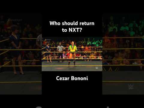 Do you remember these NXT Superstars (Part 2)