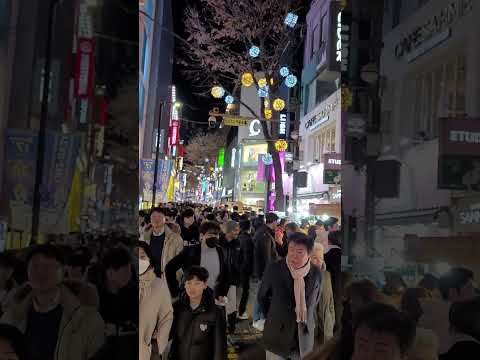 명동 크리스마스 이브 풍경 Dec 24, 2024 Myeongdong Cathedral