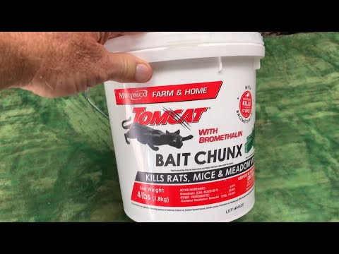 How Tomcat Bait Chunx Saved My Bird Feeder from Pesky Critters