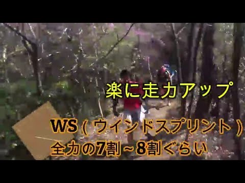 【走力アップ方法】走る基本、動き作りについて、持久力をつける/長距離が速くなるフルマラソンが速くなる/サブスリーしたい方/体力アップロードランナー、トレイルランナー不問の内容です。