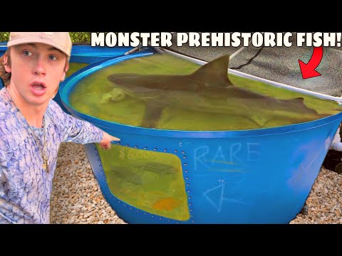 I Bought a PREHISTORIC Pond Monster!