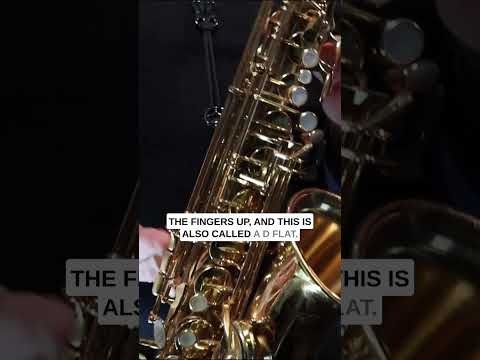 5 Must Know Sax Sharps And Flats