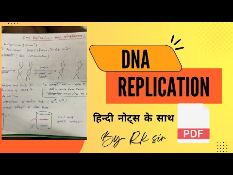 DNA Replication | damage and repair | Molecular biology | Bsc notes | botany Hindi notes