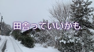 2024.12.31 大晦日/ 田舎暮らし/ 念願のハート柄ニット