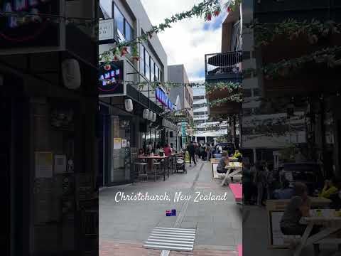 🇳🇿ニュージーランドの暮らし｜クライストチャーチを歩く｜Christchurch, New Zealand｜#shorts #ニュージーランド #クライストチャーチ