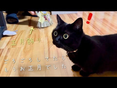 寝正月を過ごす黒猫さんに、年が明けたことをお知らせします