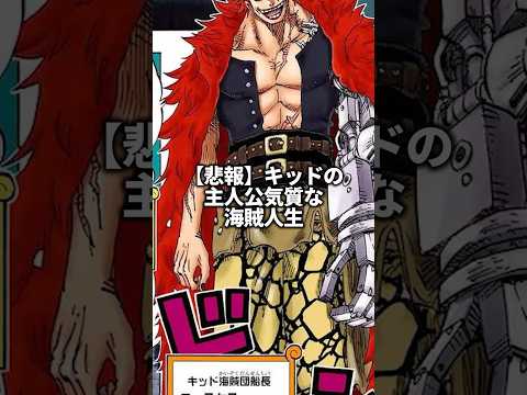 主人公だったら…キッドの悲惨な海賊人生#onepiece