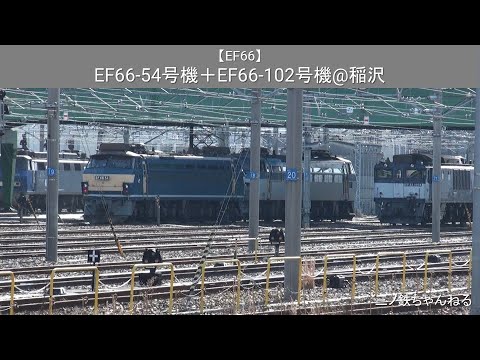 【EF66】 EF66-54号機＋EF66-102号機@稲沢（2012年）