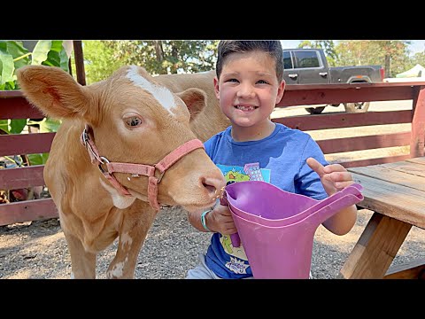 Caleb Goes to the Farm with ANIMALS! FEEDING BaBY COWS, PIGS, HORSES at the PETTING ZOO with MOMMY!