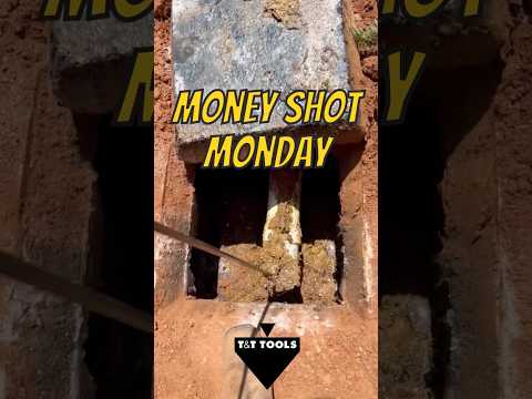 MoneyShotMonday 10/14/24 #shorts