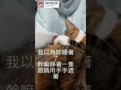 猜猜看我睡著了嗎？