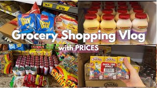 Relaxing Grocery Shopping Vlog | Realistic haul + Prices | Dali Everyday Grocery | ASMR