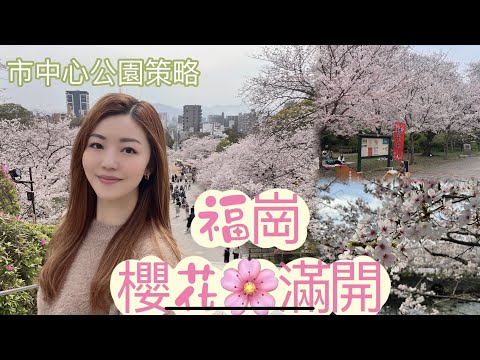 【福岡】櫻花滿開🌸 市中心三大公園 步行策略🌳 避開人潮