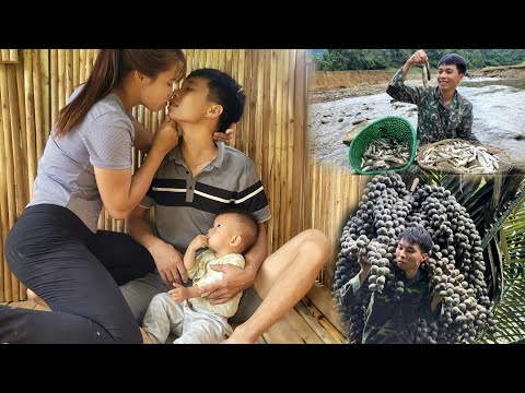 180 days: Harvesting wild fruits - Processing to make dishes - Fishing and Taking care of babies