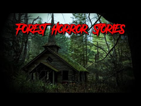 (3) Creepy FOREST Horror Stories [Cult Encounter & MORE!]