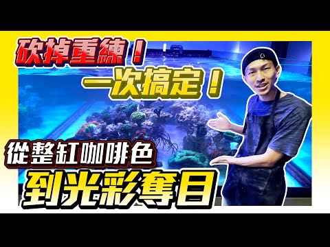 【藍箱水族】超級大改造！魚缸重建過程大分享！七呎珊瑚淺缸！來去魚友家系列～