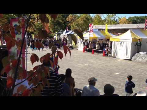 【ひまわり保育園】2013 津軽の食と産業祭り【ばら・すみれ組】