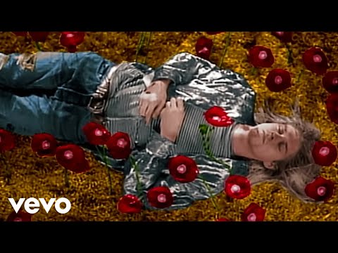 Nirvana - Heart-Shaped Box (Director's Cut)