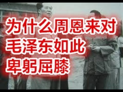 为什么周恩来对毛泽东如此卑躬屈膝