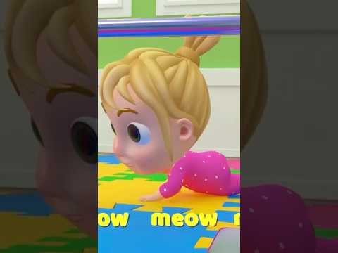 Meow Meow Meow | Mary Nursery Rhymes & Kids Songs #childrensongs #toddlersongs #babysongs